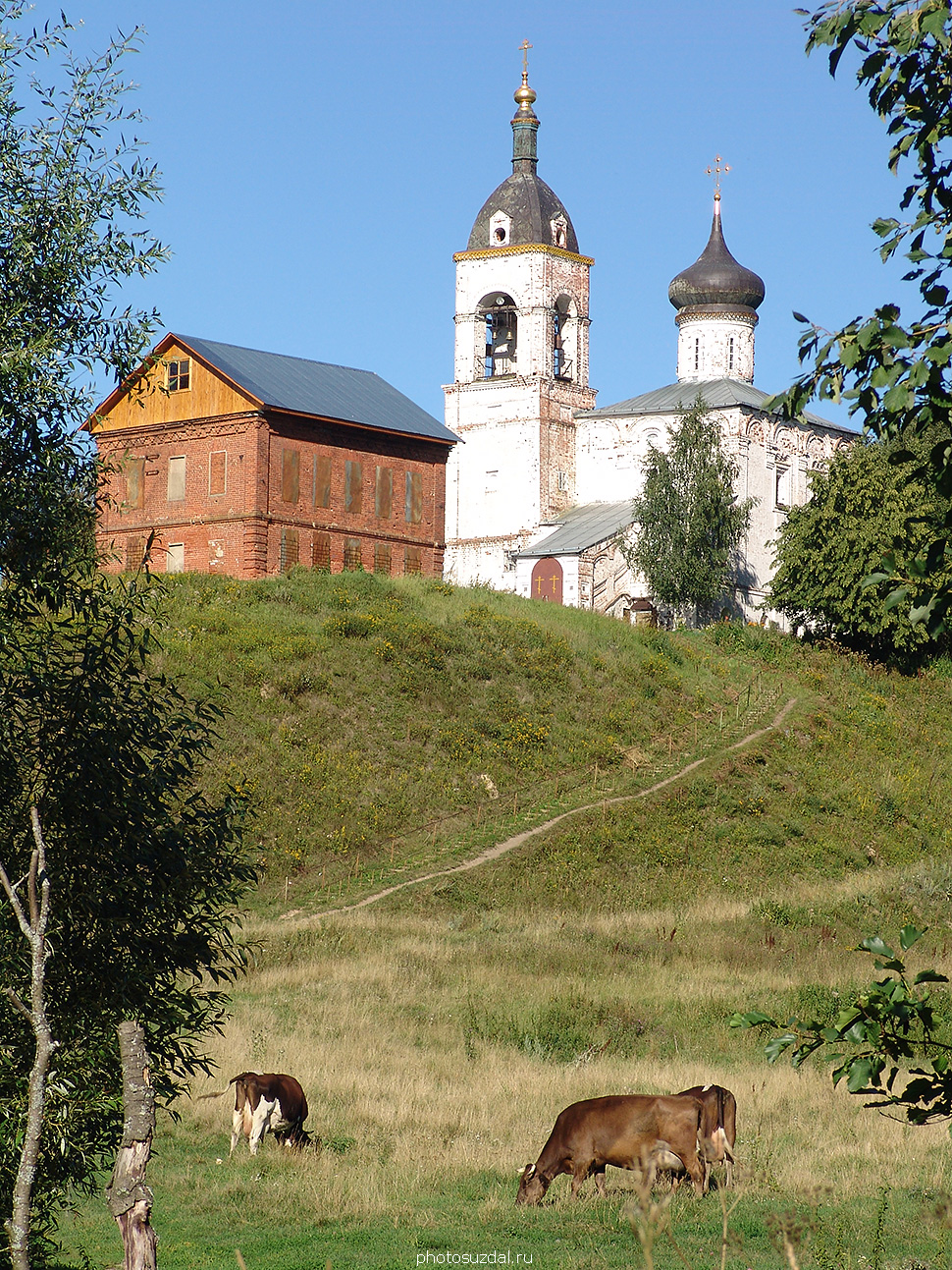 Благовещенская церковь с колокольней в селе Сновицы